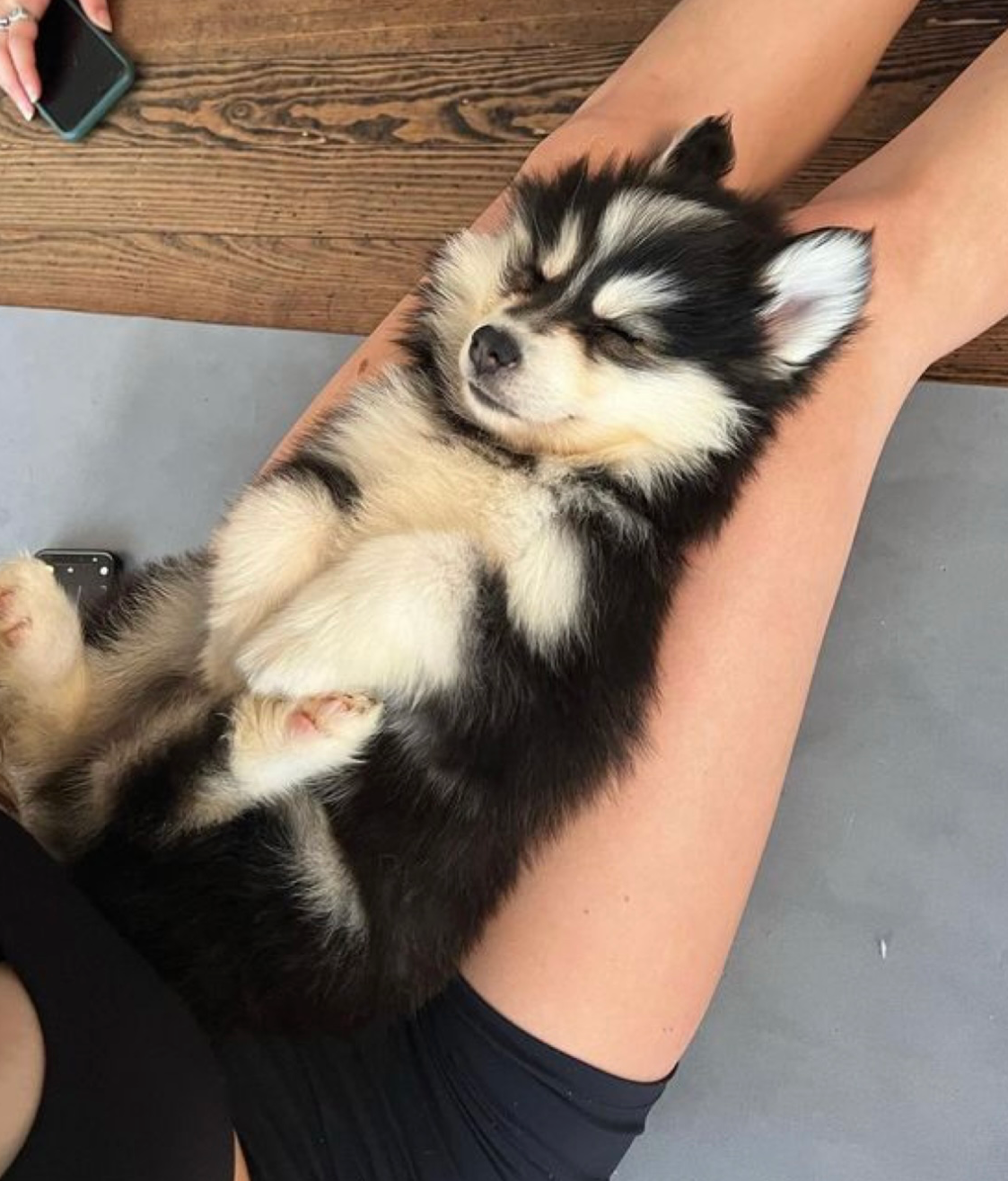 Puppy Yoga Place