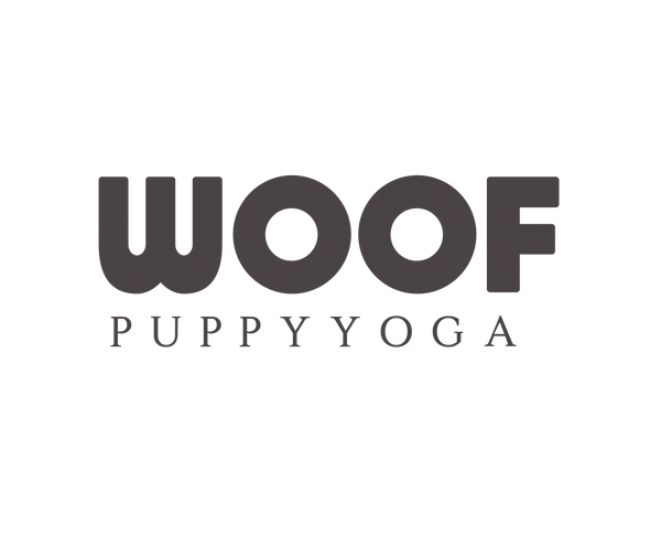 Puppy.yoga.lln