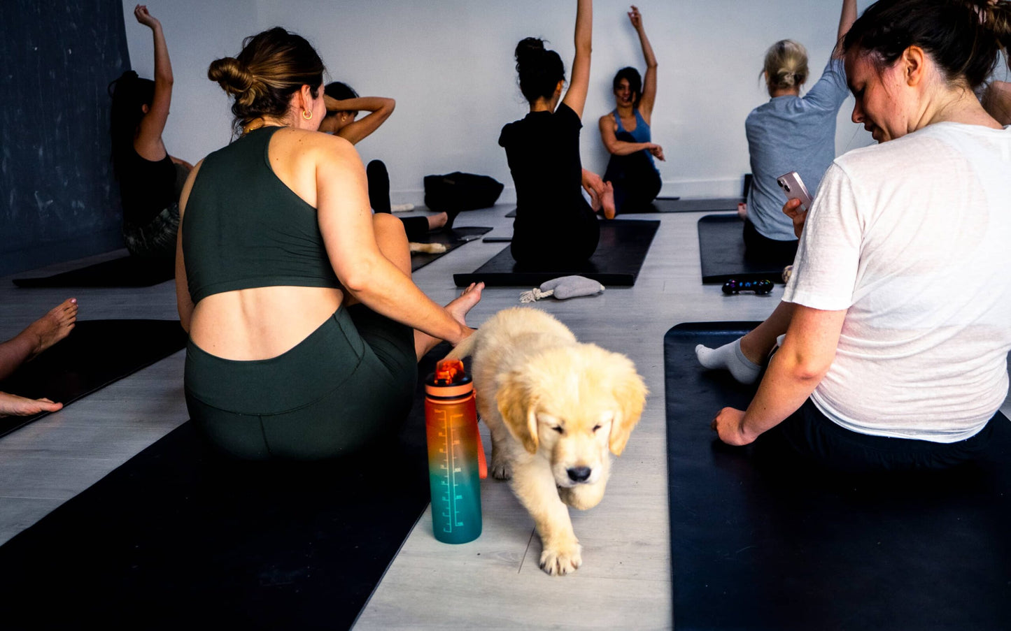 Puppy Yoga Place
